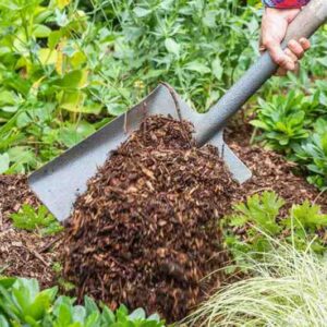 Cypress Mulch