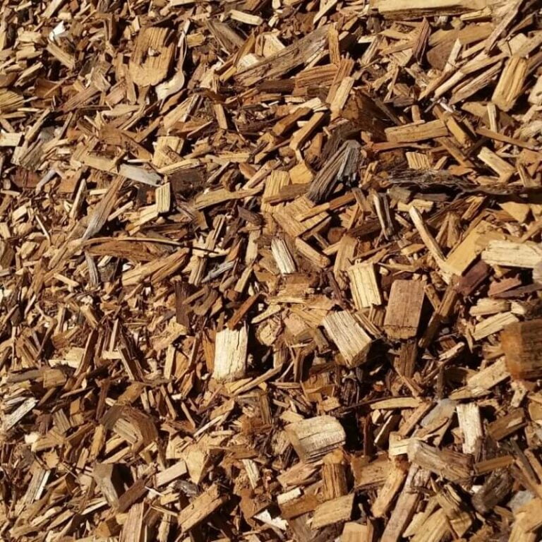 Cypress Chip