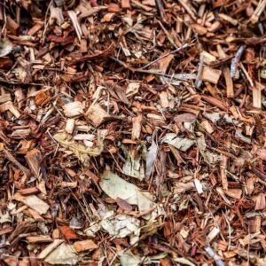Forest Mulch
