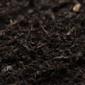 Hoop Pine Mulch
